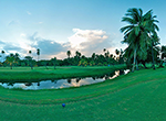 berdind pano