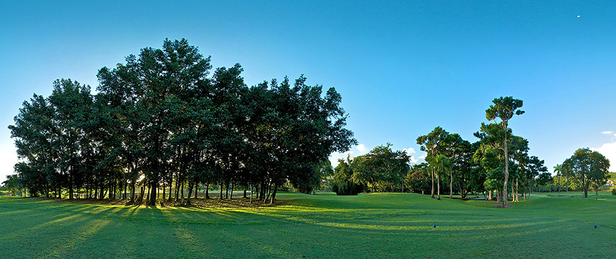 dorado golf course
